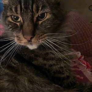 Meet your Posher, Marilyn